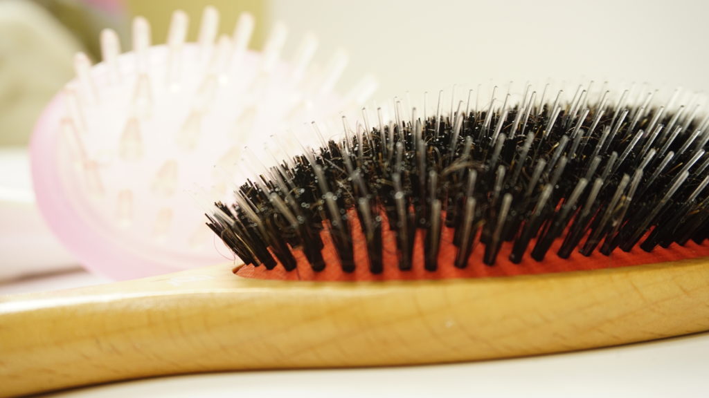 Scalp and Hair Brushes